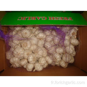 Ail blanc pur emballé 5kg carton 2 sacs